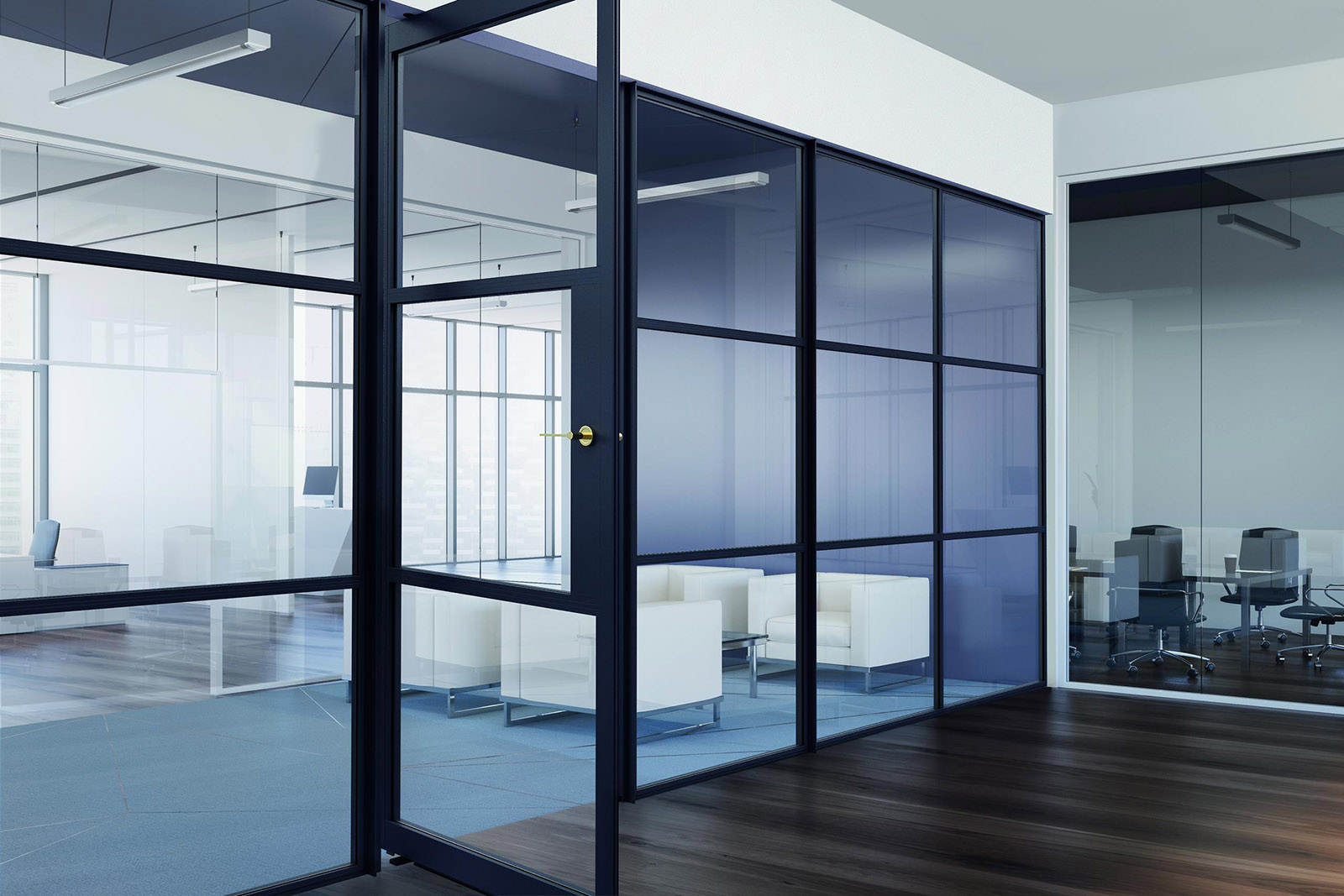 aluspace pivot door